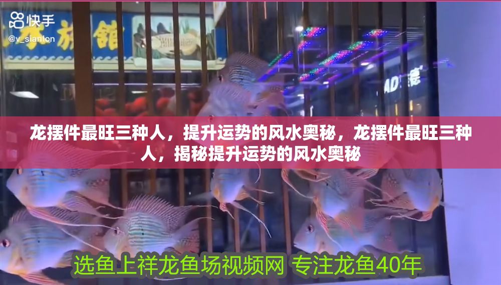 龍擺件最旺三種人，提升運勢的風水奧秘，龍擺件最旺三種人，揭秘提升運勢的風水奧秘