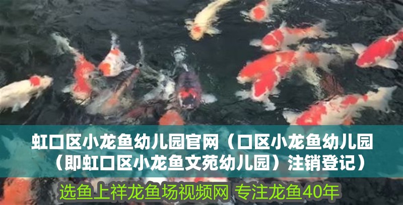 <strong><mark>虹口</mark></strong>區(qū)小龍魚幼兒園官網(wǎng)（口區(qū)小龍魚幼兒園（即<strong><mark>虹口</mark></strong>區(qū)小龍魚文苑幼兒園）注銷登記）