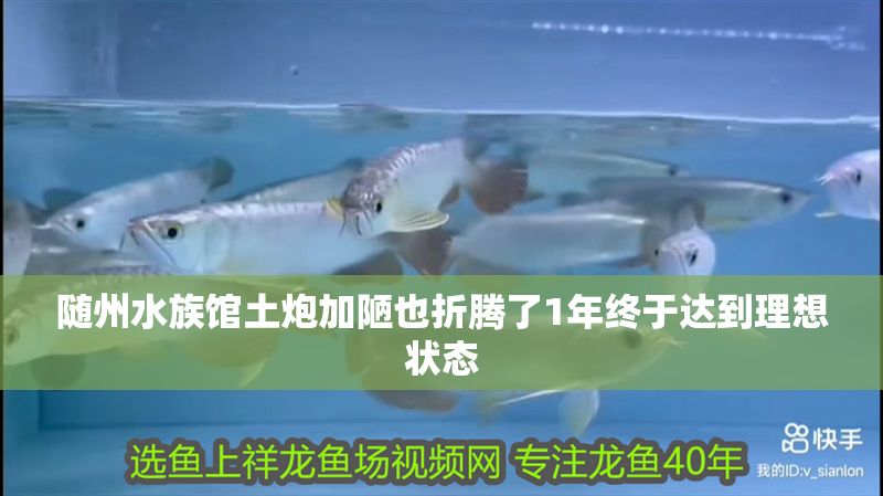 隨州水族館土炮加陋也折騰了1年終于達到理想狀態