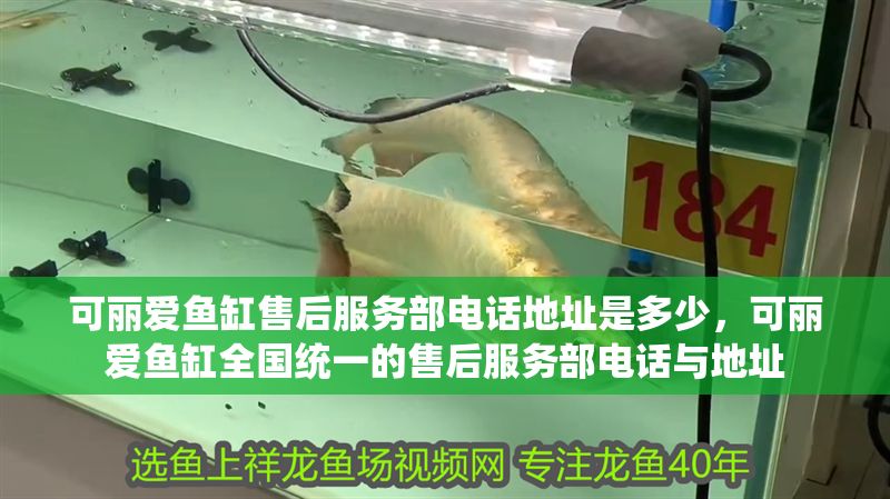 可麗愛魚缸售后服務部電話地址是多少，可麗愛魚缸全國統一的售后服務部電話與地址