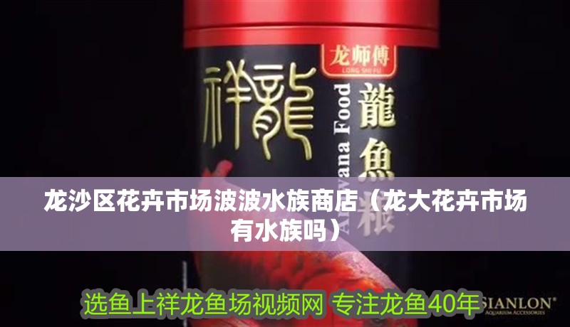 龍沙區花卉市場波波水族商店（龍大花卉市場有水族嗎）