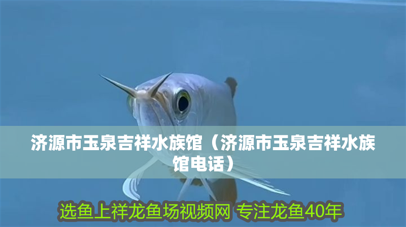 濟源市玉泉吉祥水族館（濟源市玉泉吉祥水族館電話）