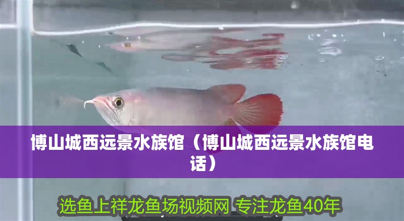 博山城西遠景水族館（博山城西遠景水族館電話）
