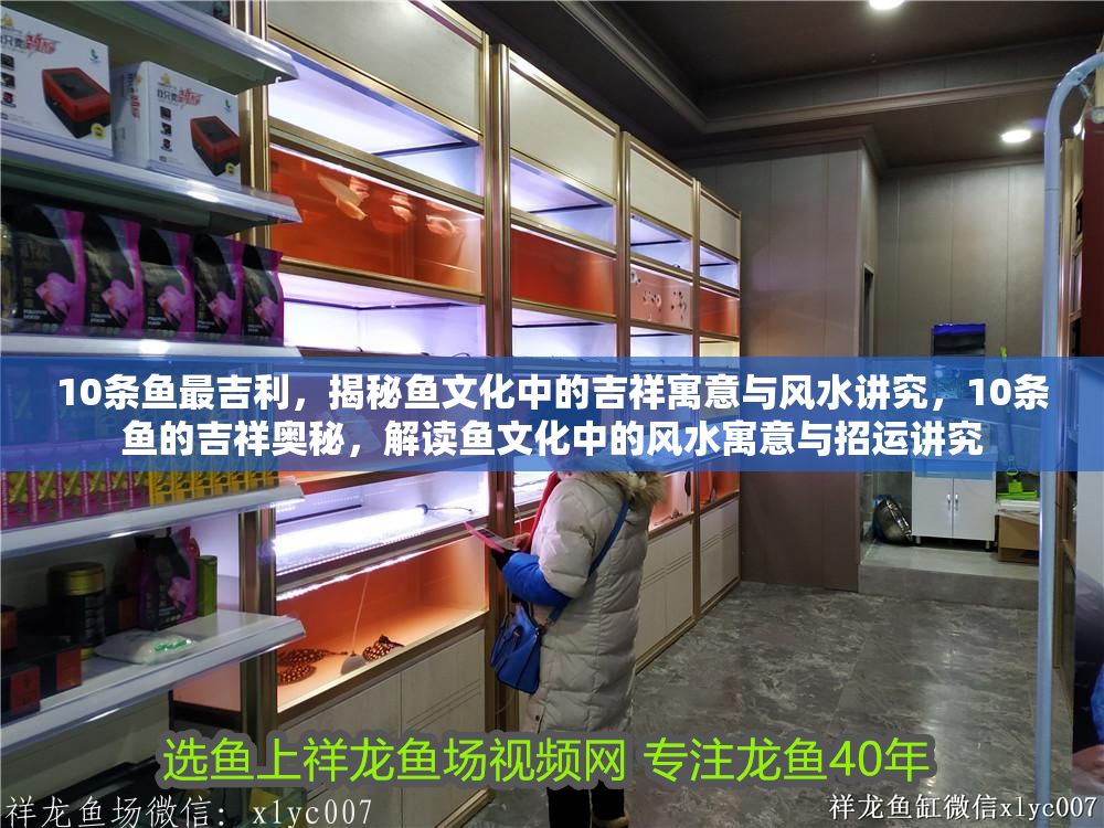 10條魚最吉利，揭秘魚文化中的吉祥寓意與風水講究，10條魚的吉祥奧秘，解讀魚文化中的風水寓意與招運講究
