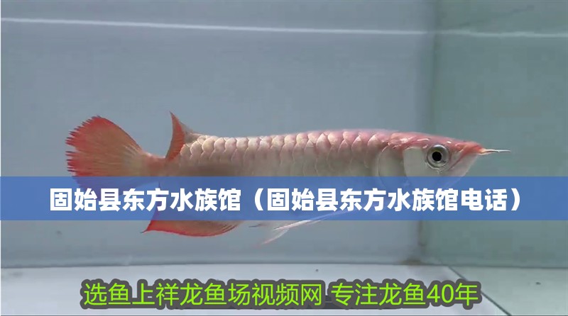 固始縣東方水族館（固始縣東方水族館電話）