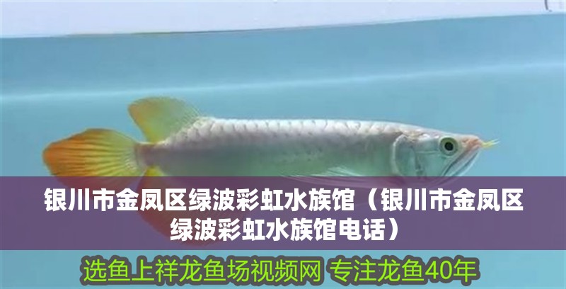 銀川市金鳳區(qū)綠波彩虹水族館（銀川市金鳳區(qū)綠波彩虹水族館電話）