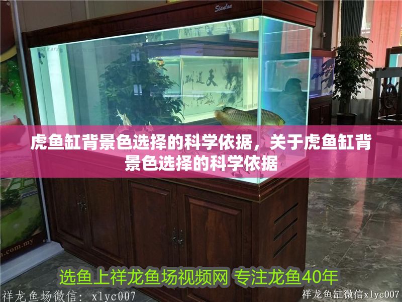 虎魚缸背景色選擇的科學依據，關于虎魚缸背景色選擇的科學依據