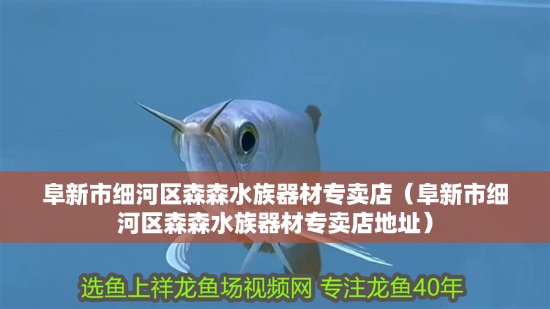 阜新市細(xì)河區(qū)森森水族器材專賣店（阜新市細(xì)河區(qū)森森水族器材專賣店地址）