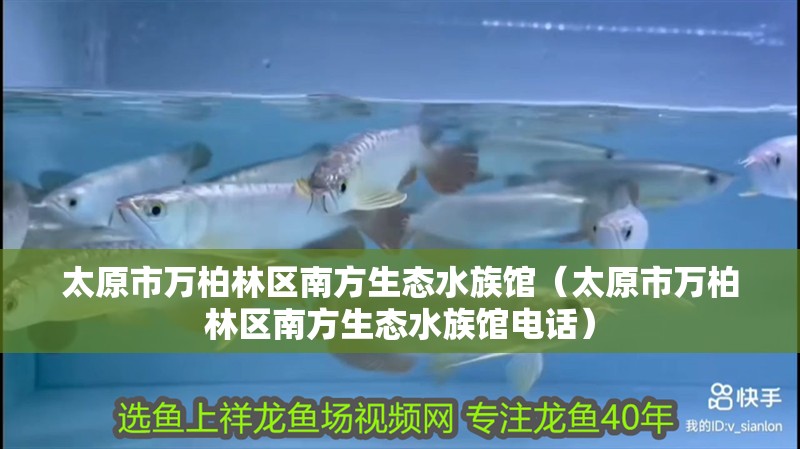 太原市萬柏林區南方生態水族館（太原市萬柏林區南方生態水族館電話）