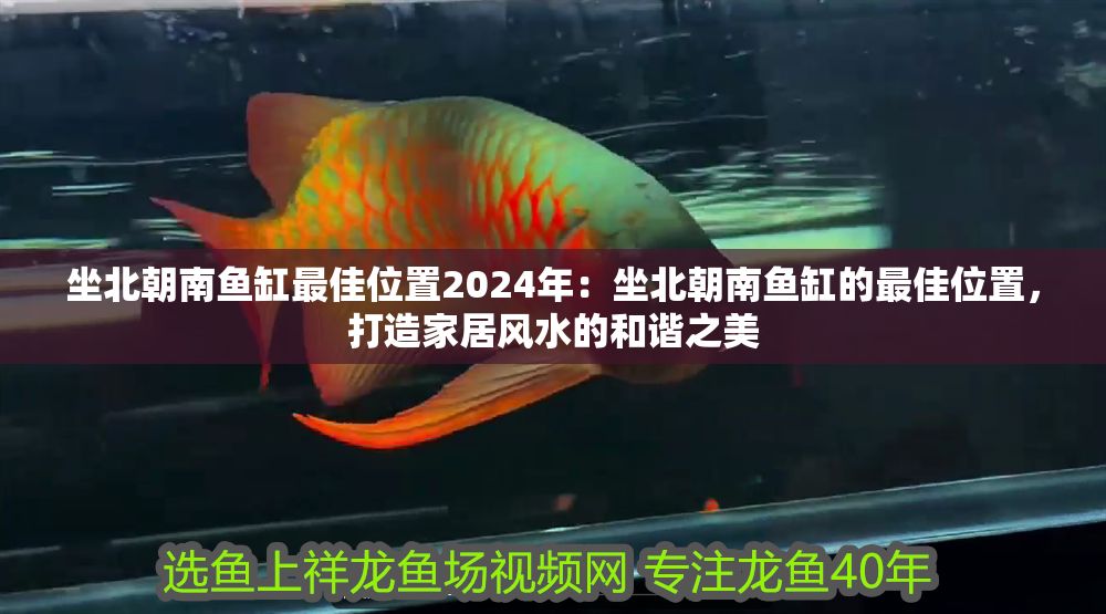 詳細閱讀:坐北朝南魚缸最佳位置2024年:坐北朝南魚缸的最佳位置,打造家居風水的和諧之美 坐北朝南魚缸最佳位置2024年:坐北朝南魚缸的最佳位置,打造家居風水的和諧之美