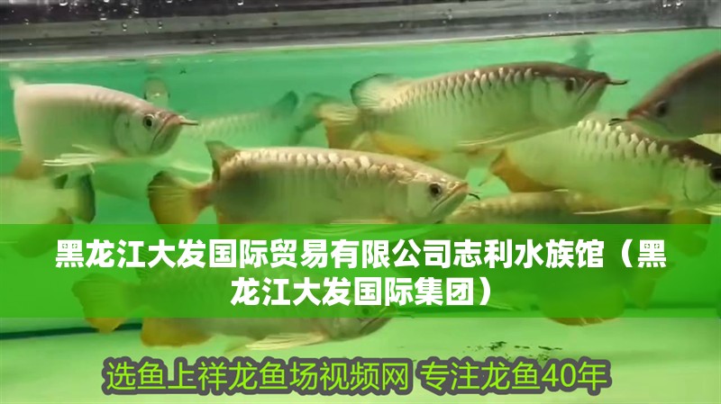 黑龍江大發國際貿易有限公司志利水族館（黑龍江大發國際集團）