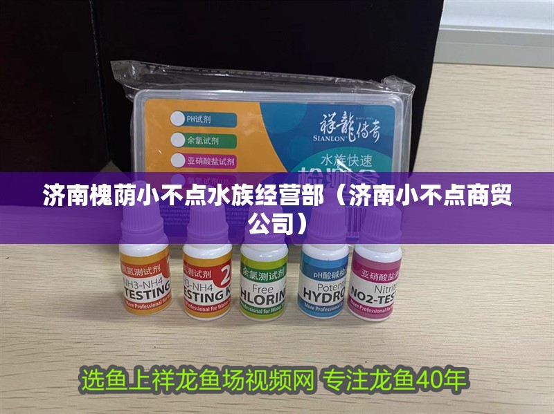 濟南槐蔭小不點水族經營部（濟南小不點商貿公司）