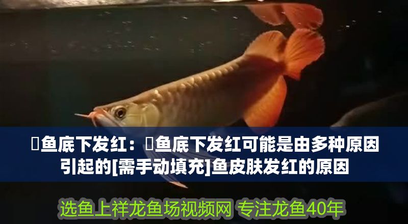 魟魚底下發紅：魟魚底下發紅可能是由多種原因引起的[需手動填充]魚皮膚發紅的原因