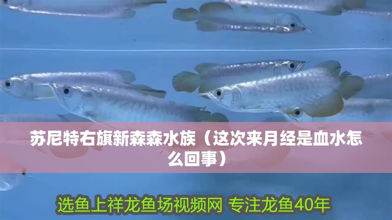 蘇尼特右旗新森森水族（這次來月經是血水怎么回事）