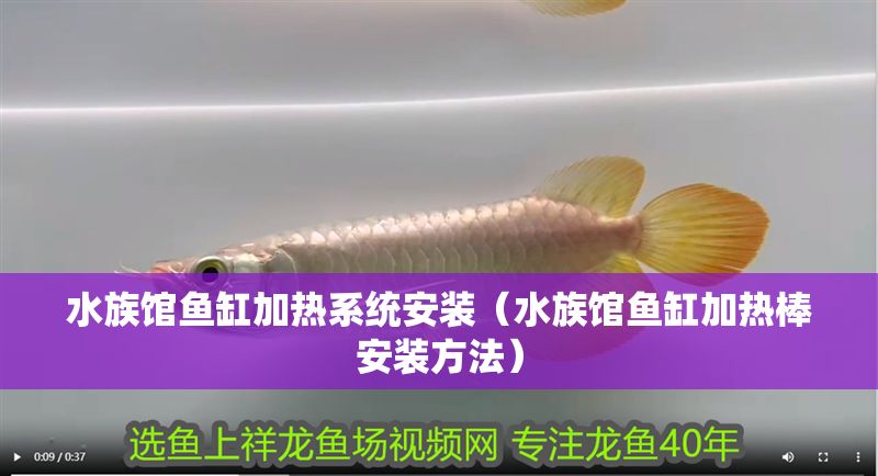 水族館魚缸加熱系統安裝（水族館魚缸加熱棒安裝方法）