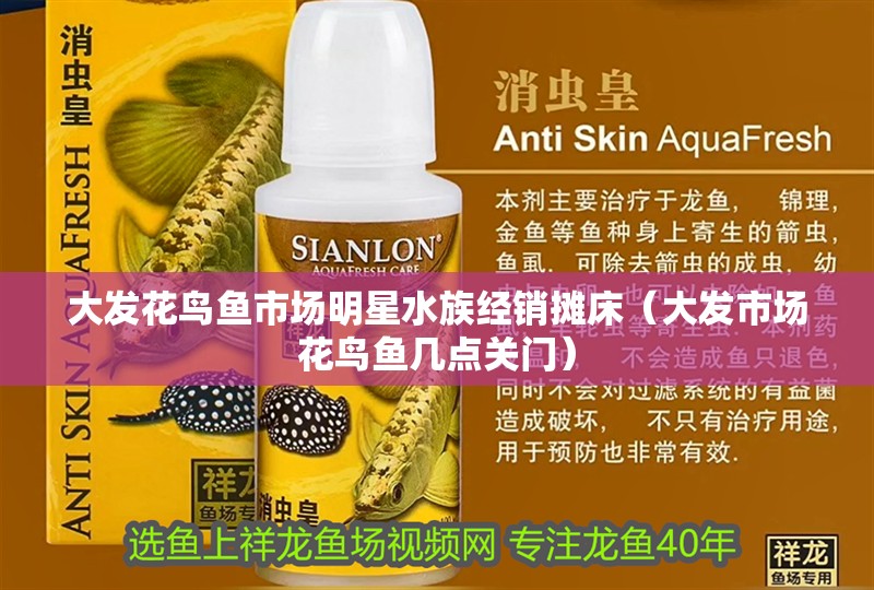大發花鳥魚市場明星水族經銷攤床（大發市場花鳥魚幾點關門）