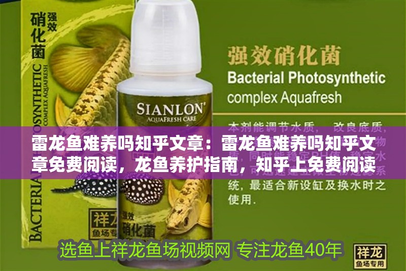 雷龍魚難養嗎知乎文章：雷龍魚難養嗎知乎文章免費閱讀，龍魚養護指南，知乎上免費閱讀的養魚經驗分享