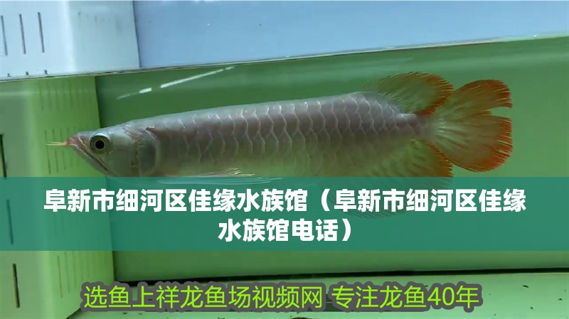 阜新市細(xì)河區(qū)佳緣水族館（阜新市細(xì)河區(qū)佳緣水族館電話(huà)）