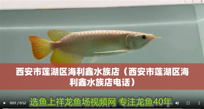 西安市蓮湖區海利鑫水族店(西安市蓮湖區海利鑫水族店電話) 全國水族館企業名錄 第2張 西安市蓮湖區海利鑫水族店(西安市蓮湖區海利鑫水族店電話) 西安市蓮湖區海利鑫水族店(西安市蓮湖區海利鑫水族店電話) 全國水族館企業名錄 第2張