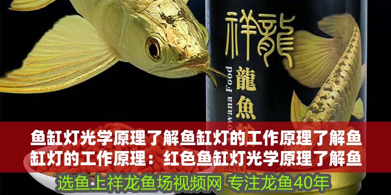 魚缸燈光學原理了解魚缸燈的工作原理了解魚缸燈的工作原理：紅色魚缸燈光學原理了解魚缸燈的工作原理了解魚缸燈的工作原理
