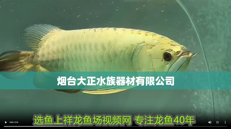 煙臺大正水族器材有限公司