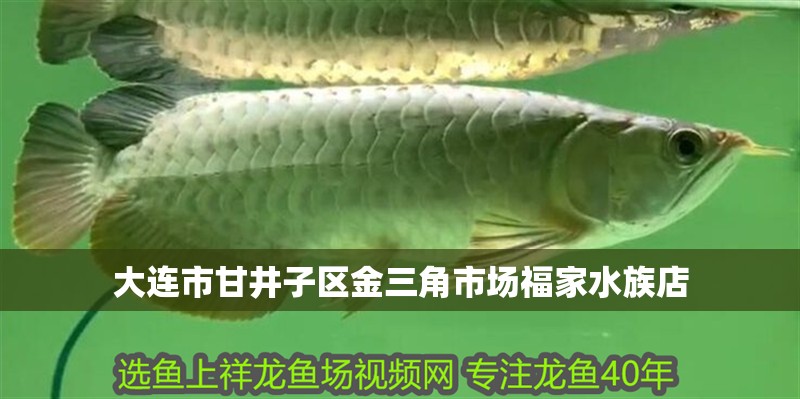 大連市甘井子區金三角市場福家水族店