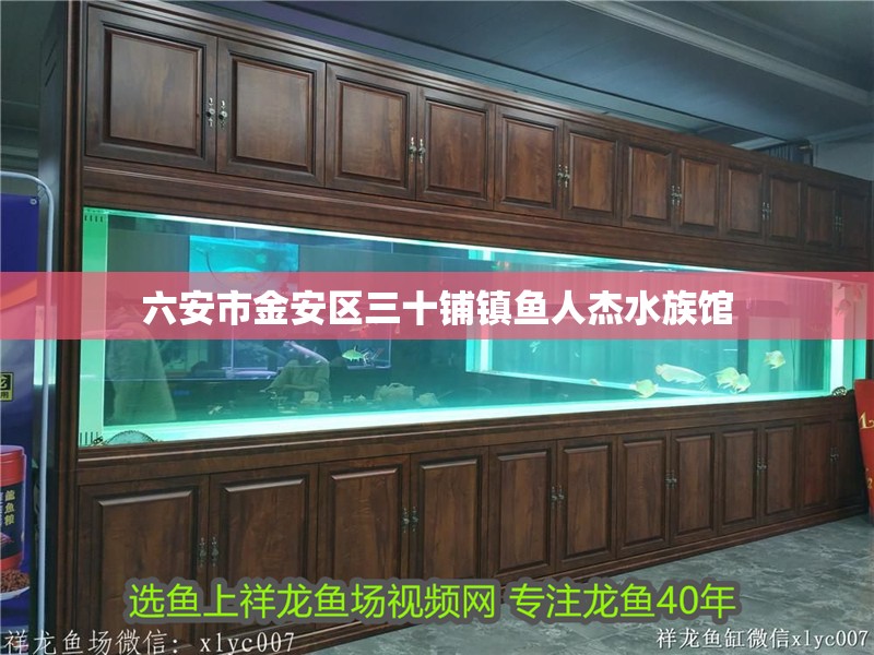 六安市金安區(qū)三十鋪鎮(zhèn)魚(yú)人杰水族館