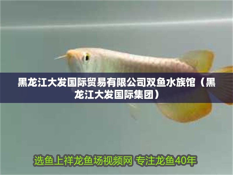 黑龍江大發國際貿易有限公司雙魚水族館（黑龍江大發國際集團）