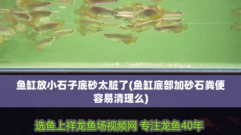 魚缸放小石子底砂太臟了(魚缸底部加砂石糞便容易清理么)