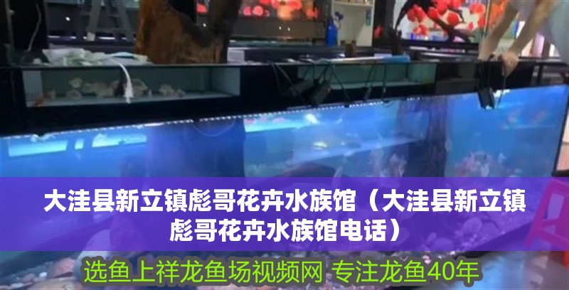 大洼縣新立鎮彪哥花卉水族館（大洼縣新立鎮彪哥花卉水族館電話）