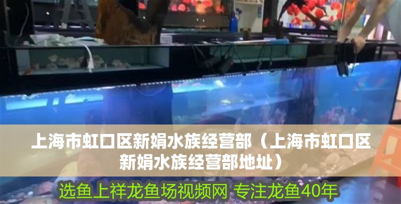 上海市虹口區新娟水族經營部（上海市虹口區新娟水族經營部地址）