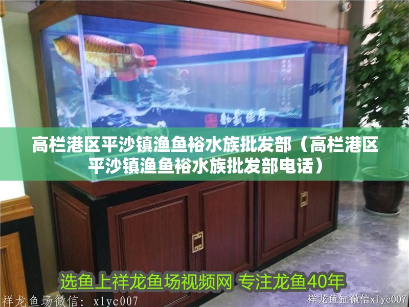 高欄港區平沙鎮漁魚裕水族批發部（高欄港區平沙鎮漁魚裕水族批發部電話）