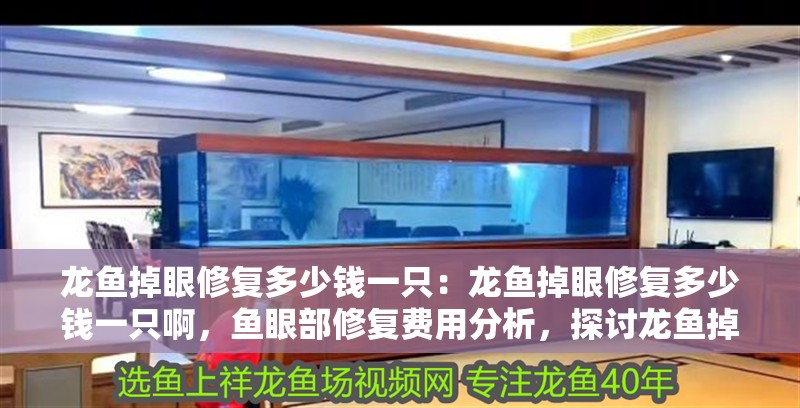龍魚掉眼修復多少錢一只：龍魚掉眼修復多少錢一只啊，魚眼部修復費用分析，探討龍魚掉眼修復的市場價格