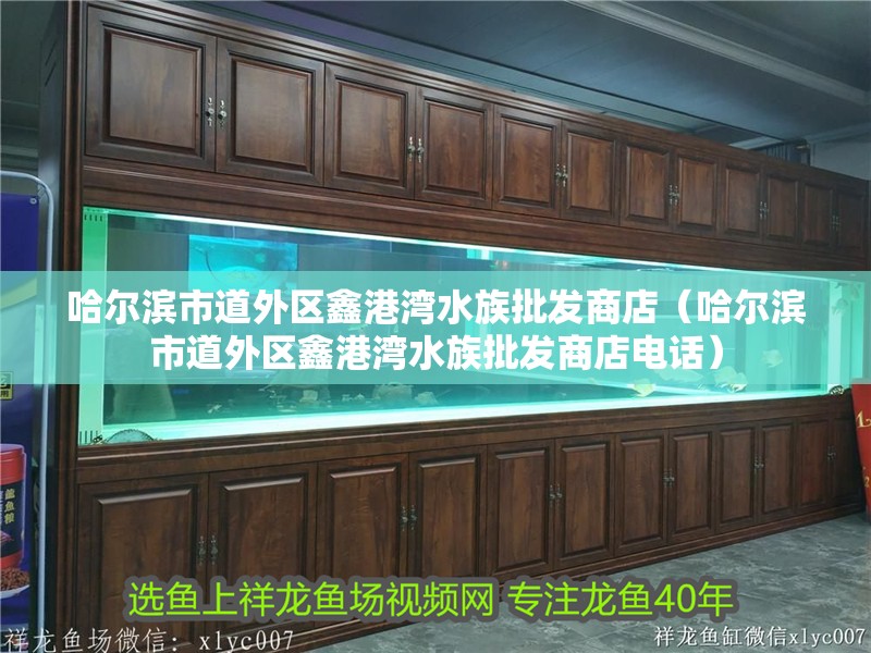 哈爾濱市道外區鑫港灣水族批發商店（哈爾濱市道外區鑫港灣水族批發商店電話）