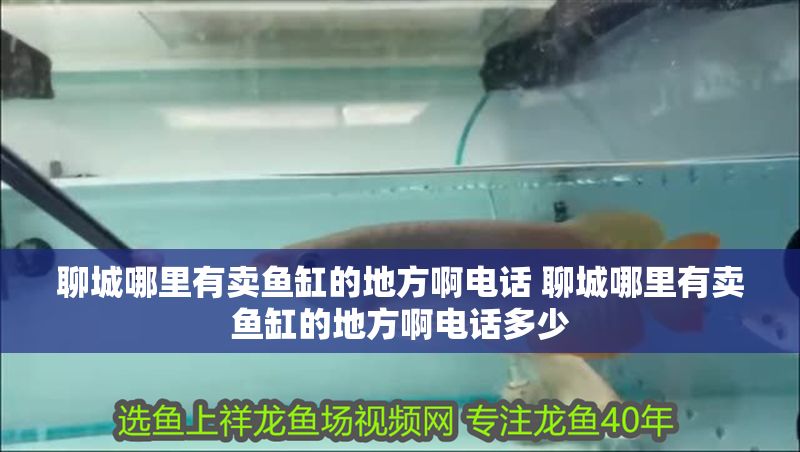 聊城哪里有賣魚缸的地方啊電話 聊城哪里有賣魚缸的地方啊電話多少
