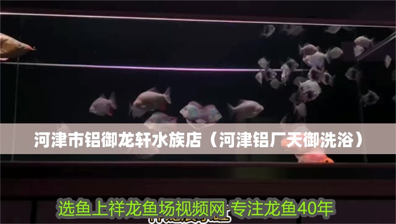 河津市鋁御龍軒水族店（河津鋁廠天御洗浴）