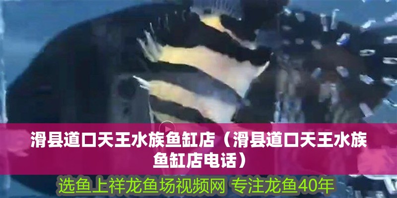 滑縣道口天王水族魚缸店（滑縣道口天王水族魚缸店電話）