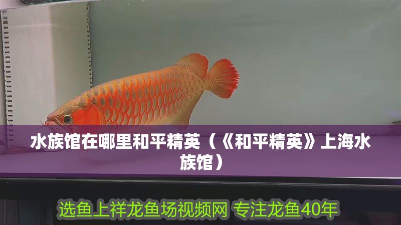 水族館在哪里和平精英（《和平精英》上海水族館）