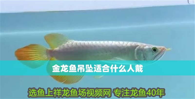 金龍魚吊墜適合什么人戴