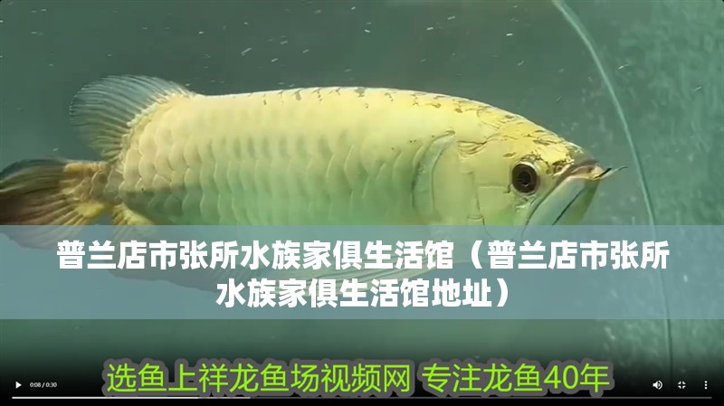普蘭店市張所水族家俱生活館（普蘭店市張所水族家俱生活館地址）