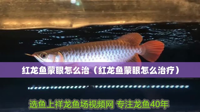 紅龍魚蒙眼怎么治（紅龍魚蒙眼怎么治療）