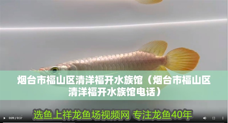 煙臺市福山區清洋福開水族館（煙臺市福山區清洋福開水族館電話）