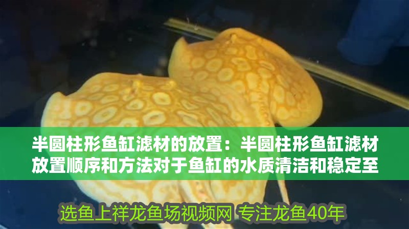 半圓柱形魚缸濾材的放置：半圓柱形魚缸濾材放置順序和方法對于魚缸的水質清潔和穩定至關重要