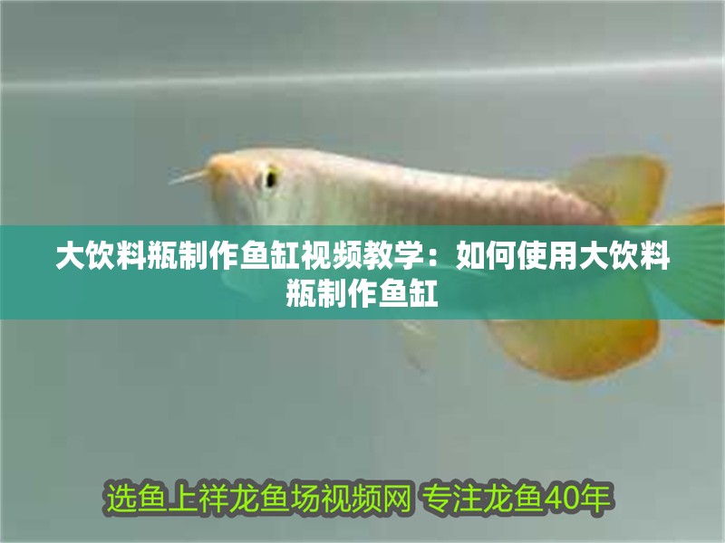 大飲料瓶制作魚缸視頻教學：如何使用大飲料瓶制作魚缸