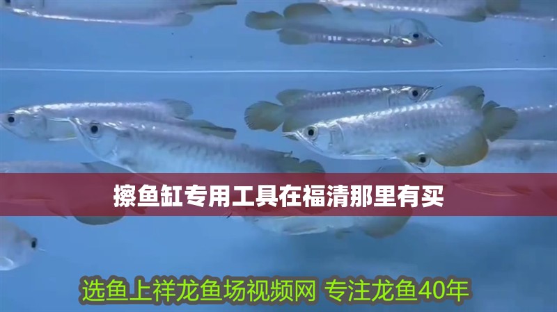 擦魚缸專用工具在福清那里有買