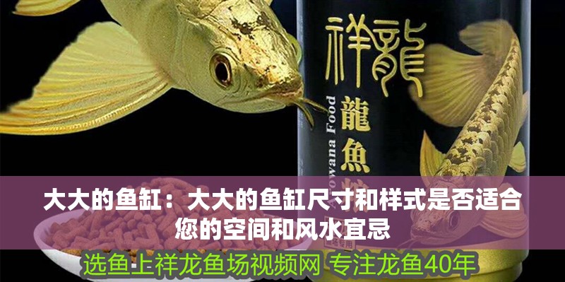 大大的魚缸：大大的魚缸尺寸和樣式是否適合您的空間和風水宜忌