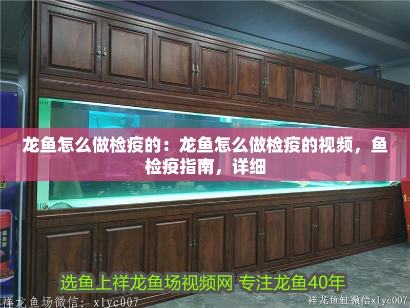 龍魚怎么做檢疫的：龍魚怎么做檢疫的視頻，魚檢疫指南，詳細(xì)