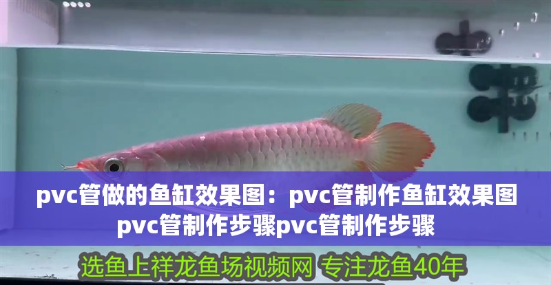 pvc管做的魚缸效果圖：pvc管制作魚缸效果圖pvc管制作步驟pvc管制作步驟
