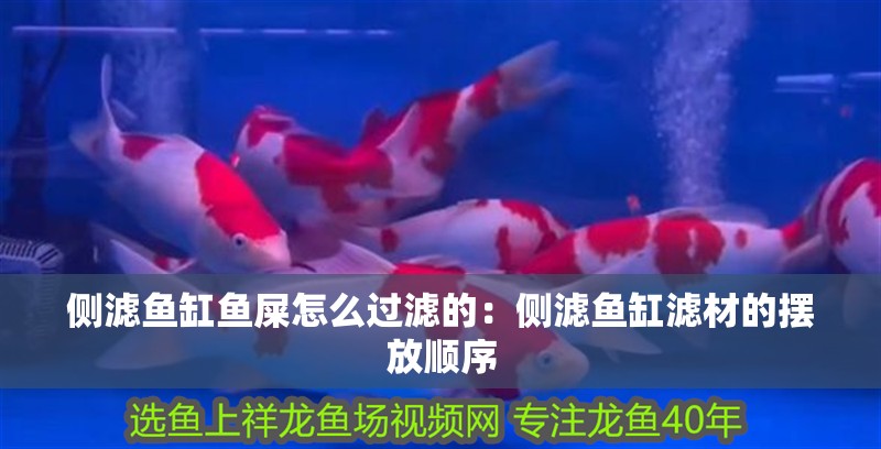 側濾魚缸魚屎怎么過濾的：側濾魚缸濾材的擺放順序
