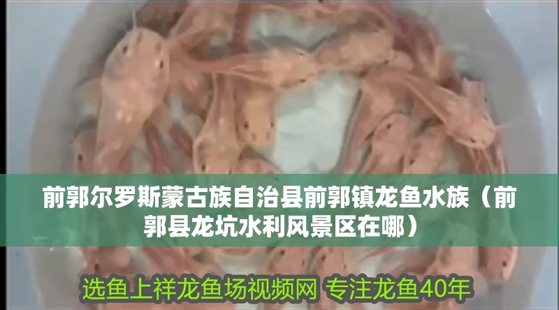 前郭爾羅斯蒙古族自治縣前郭鎮龍魚水族（前郭縣龍坑水利風景區在哪）
